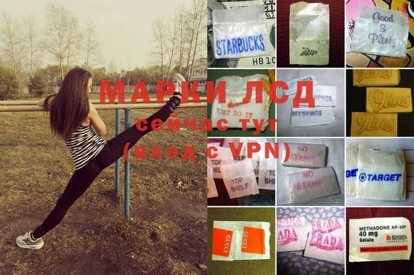 спиды Алексеевка