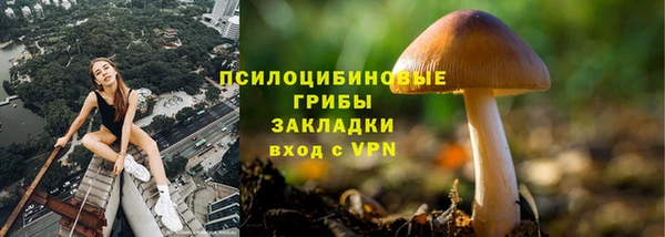 дживик Арсеньев
