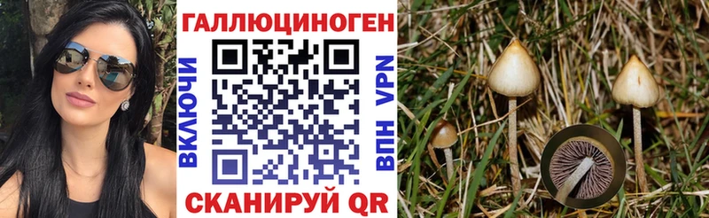 Псилоцибиновые грибы GOLDEN TEACHER  купить  цена  Курган 